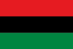 «чёрное правительство» потребовало создания на юге США Республики Новая Африка