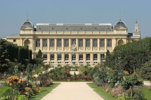 Лекари Людовика XIII организовали в Париже сад лекарственных растений