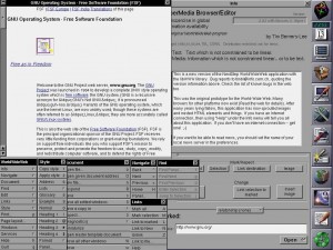Тим Бернерс-Ли представил публике первый браузер