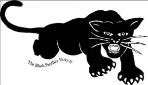 В США образована партия «Чёрные пантеры»