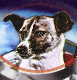 В космос отправилась собака Лайка